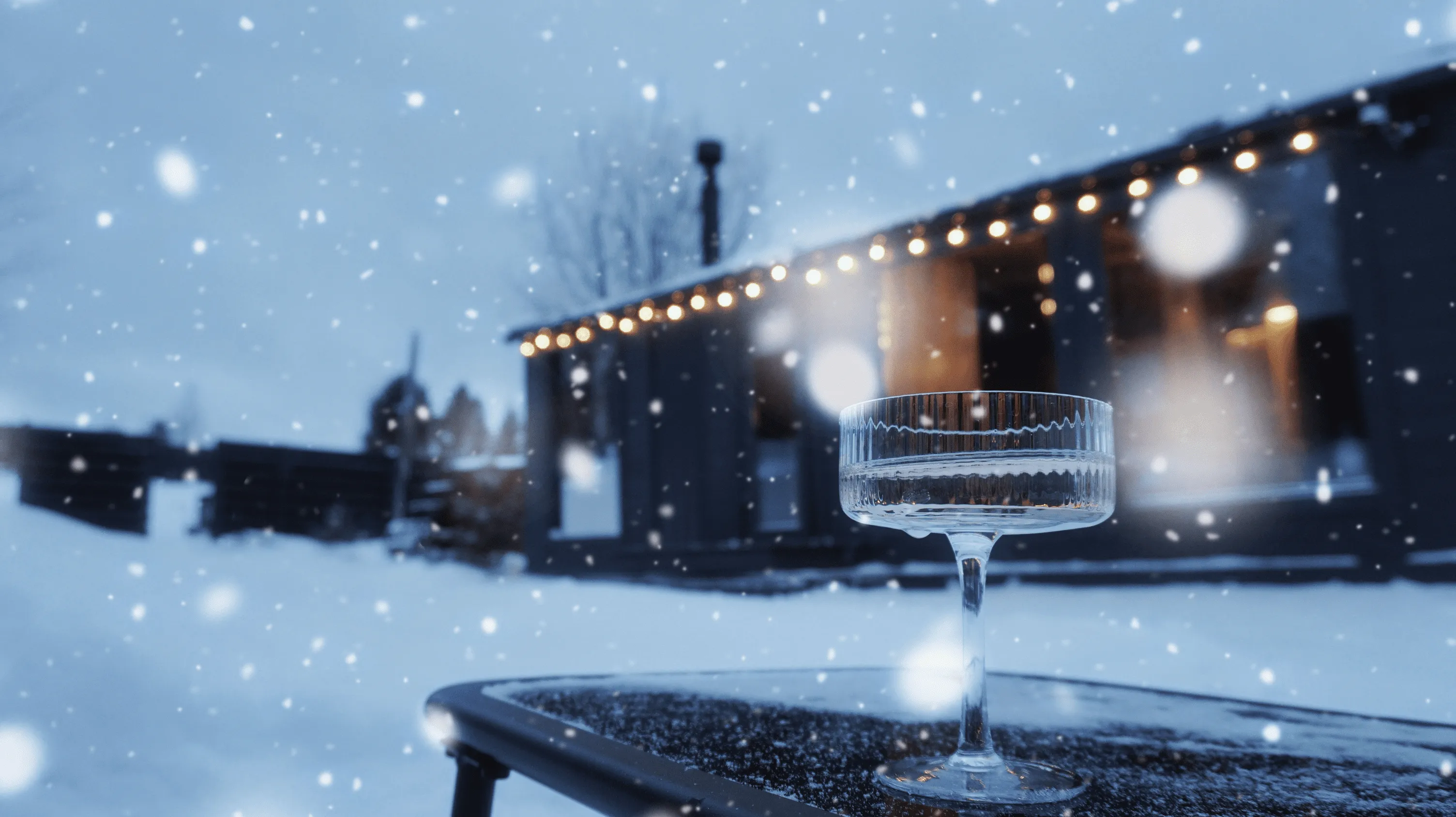 Дом-баня Гармония — внешний вид дома